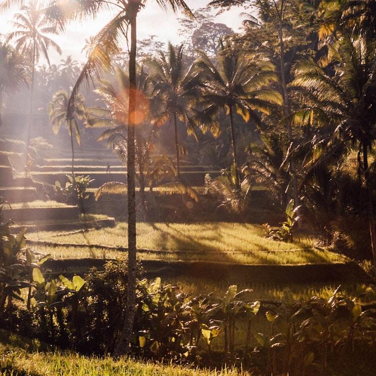 Family terraces and cafés for calm evenings in Madrid